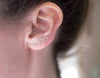 Large Circlet Ear Crawler